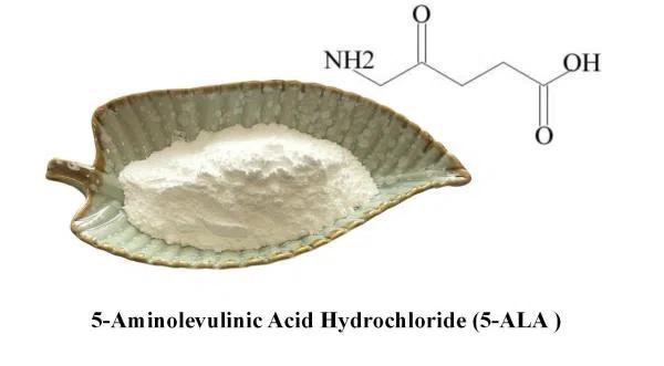 5-Aminolevulinic Acid Hydrochloride Powder