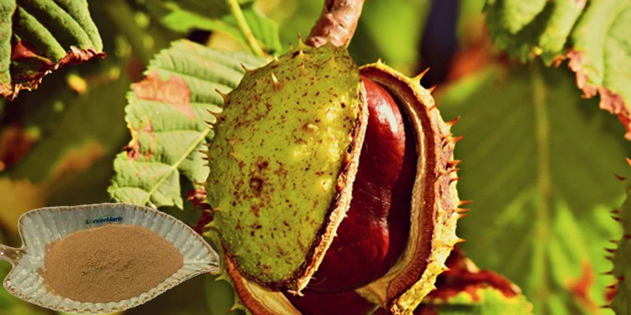 Horse Chestnut Extract Powder factory