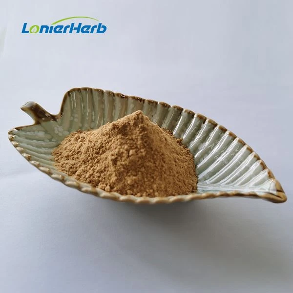 Gymnema Sylvestre Extract Powder