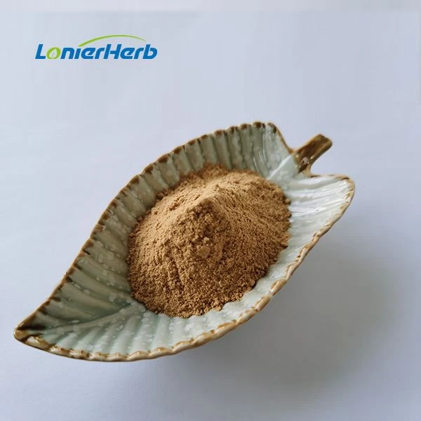 Gymnema Sylvestre Extract Powder