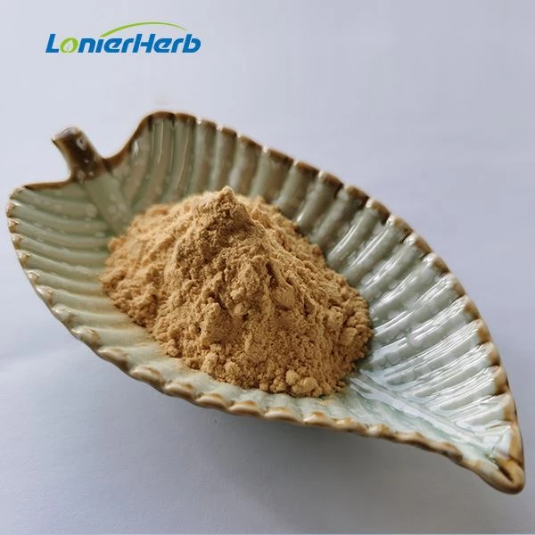 Piper Nigrum Seed Extract
