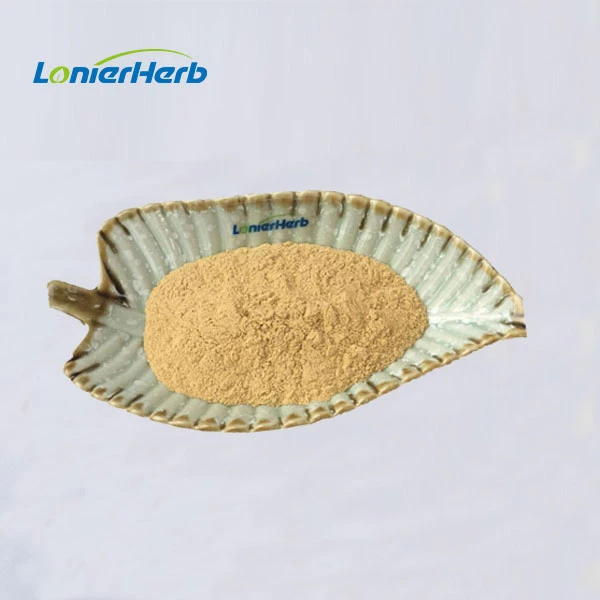 Physalis Alkekengi Powder